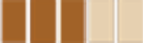 Roasting Level Image